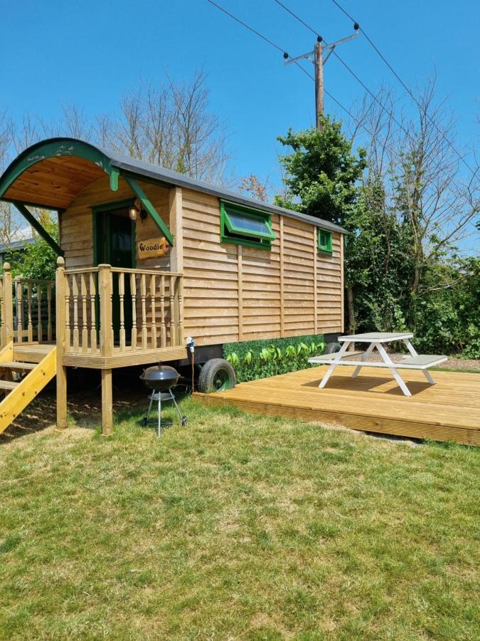 Woodie The Shepherds Hut - Sleeps 4 Chichester Exterior foto
